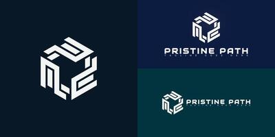 Abstract hexagon initial letter P or PP in white color isolated on multiple background colors. The logo is suitable for premium apparel brand logo design inspiration templates. vector