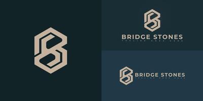 Abstract hexagon initial letter BS or SB in gold color isolated on multiple background colors. The logo is suitable for tax services logo design inspiration templates. vector