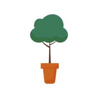 Potted green tree with rounded foliage positioned against a plain background for indoor decoration vector