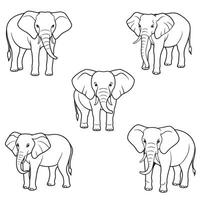 elephant head coloring page mandala design. print design. t-shirt design. vector