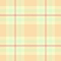 Christmas ornament textile check background, kind texture seamless pattern. Decoration tartan plaid fabric in light and moccasin colors. vector