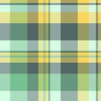 background texture of fabric tartan pattern with a check plaid seamless textile. vector