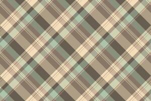 No people seamless textile tartan, mosaic pattern texture fabric. Lined check background plaid in pastel and light colors. vector