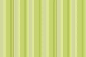 Youth seamless texture, proud pattern stripe lines. Book textile fabric vertical background in lime and light colors. vector