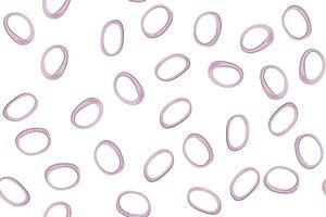 Red onion rings pattern. Bulb purple onion. Seamless print. Sliced fresh vegetable on white background. Scattered sliced food. Salad ingredient. Doodle style. illustration. vector