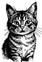 Black and white illustration of a cat with striped fur, large eyes, and its ears are pointed upwards looking directly at the viewer with a focused gaze. vector