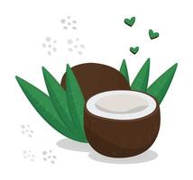Two coconuts with leaves and hearts, colorful illustration vector