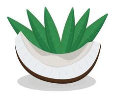 Piece of coconut and palm leaves on the background, juicy raw nut slice, colorful illustration vector