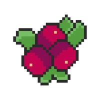cranberries pixel art for your needs vector