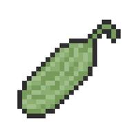 gourd pixel art for your needs vector