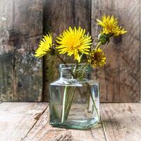Small bouquet of dandelions in a glass vase on a wooden background. Minimalism. photo