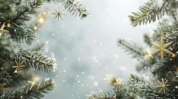 Christmas and New Year background with fir branches and snowflakes. photo