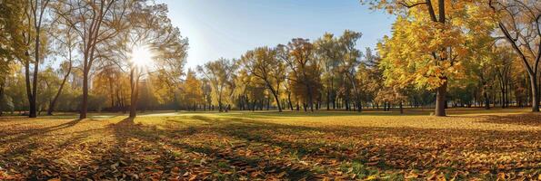 Autumn park panorama with fallen leaves and sunbeams on blue sky background. photo