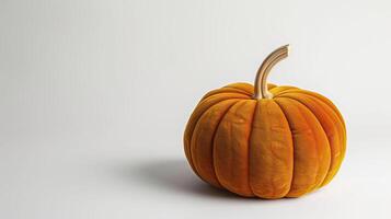 Plush pumpkin isolated on a white background. photo