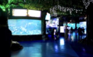 Blur and defocused effect on zoo aquarium tanks travel destination isolated on horizontal dark indoor environment background. photo