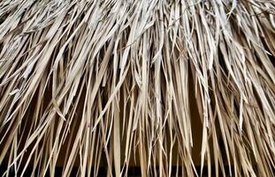 Dry leaves roofing material texture isolated on horizontal full frame background. photo