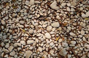 White small stones or pebbles on park ground flooring with dry brown leaves decoration isolated on full frame horizontal ratio background. photo