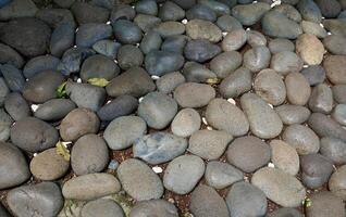 Gray oval stones and pebbles on park ground flooring texture with a few dry leaves isolated on full frame horizontal background. photo