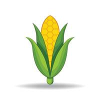 Corn Nutrient-Rich and Versatile Crop. vector