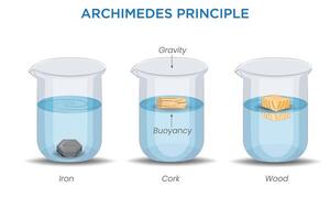 Archimedes' Principle Buoyant Force and Fluid Displacement vector