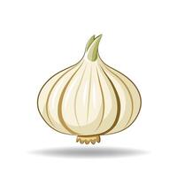 Garlic A Flavorful and Health-Boosting Culinary Essential vector