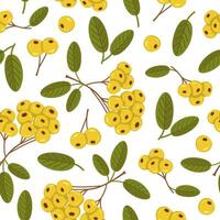 seamless pattern with yellow berries and leaves. Autumn repeating pattern with a Pyracantha berry. Image for wallpaper, packaging and postcards. vector