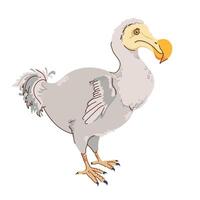 Dodo bird cartoon character. Endemic species of flightless bird raphus cucullatus that lived in Mauritius. Isolated illustration of extinct grey bird known for its large size, good nature. vector