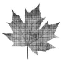 Abstract halftone autumn leaf shape isolated on white background. Black dotted leaf icon. Modern halftone design. vector