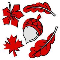 Flat illustration of acorn and leaves. Acorn is depicted in a characteristic shape with cap the autumn leaves red. Painted in the colors of the Canadian flag. Autumn motif maple, acorn, walnut vector