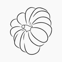 an illustration outline of pumpkin on a white background for coloring page vector