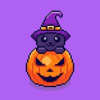 Pixel art cat with pumpkin halloween theme game asset design vector