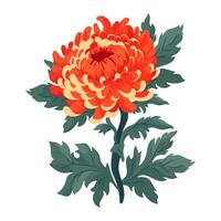 Yellow autumn chrysanthemum flower with leaves. Large dahlia flower illustration isolated on transparent background. Design element for print, card, flyer, banner vector