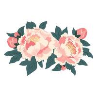 Pink peonies with buds and green leaves. Elegant spring flowers editable illustration. Botanical isolated designer decorative element. Design peony template for print, card, flyer, banner vector