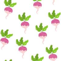 Radish, seamless pattern. Endless vegetable background. Natural food, vegetarian repeating print. Repeatable texture design. Flat illustration for textile, fabric, wrapping, wallpaper vector