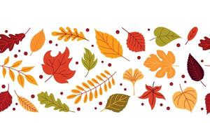 Seamless pattern with autumn leaves vector