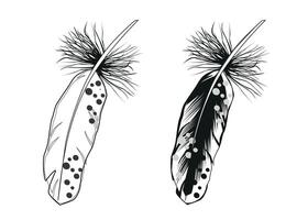 Two feathers on a white background vector