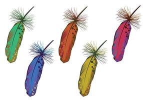 Set of feathers on a white background vector