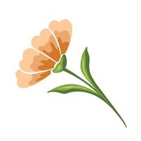 Flower wild orange isolated, hand drawn vector
