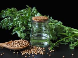 Cold-pressed coriander oil has properties in helping the digestive system, as a facial lotion, as a massage for relaxing muscles after exercise. Healthy concept. photo