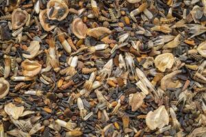 mix of drought tollerant wildflower seeds, macro background and texture photo