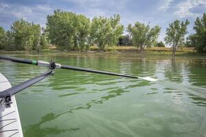 hatchet sculling oar on a calm lake, Boyd Lake in Colorado photo