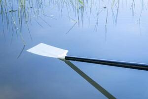 hatchet sculling oar on a calm lake, Boyd Lake in Colorado photo