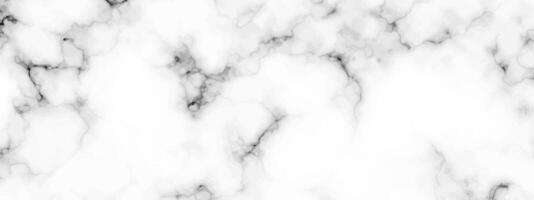 White marble texture background vector