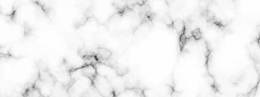 White marble texture background vector