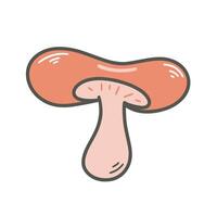 Mushroom saffron isolated on white background vector