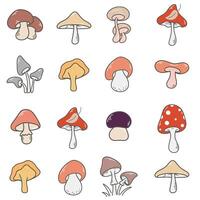 Different forest mushrooms in a row seamless pattern vector