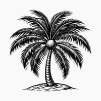 Coconut Palm trees design elements vector