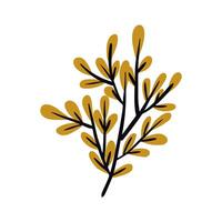 Christmas plants, decor. Hand drawn decorative branch with leaves. Flat illustration on white background. vector