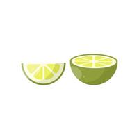 Half and a slice of lime on a white background vector