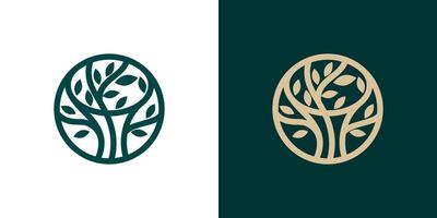 Minimal Tree in the circle icon logo . Tree branch plant abstract leaves vector